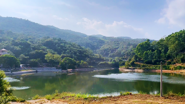 红旗水库安全监测项目 红旗水库安全监测项目