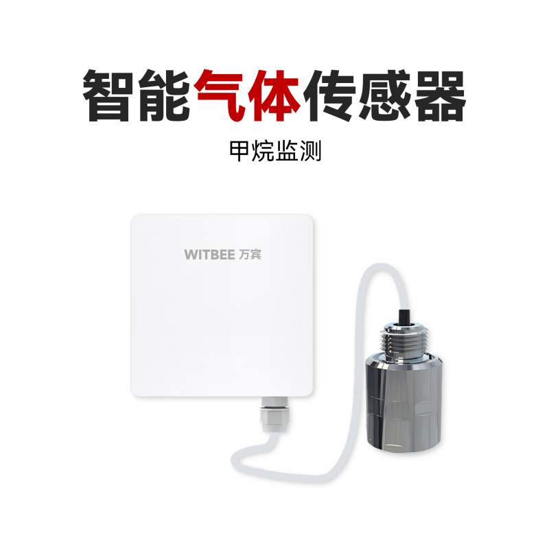 智能气体传感器<br>EN100-C-GE