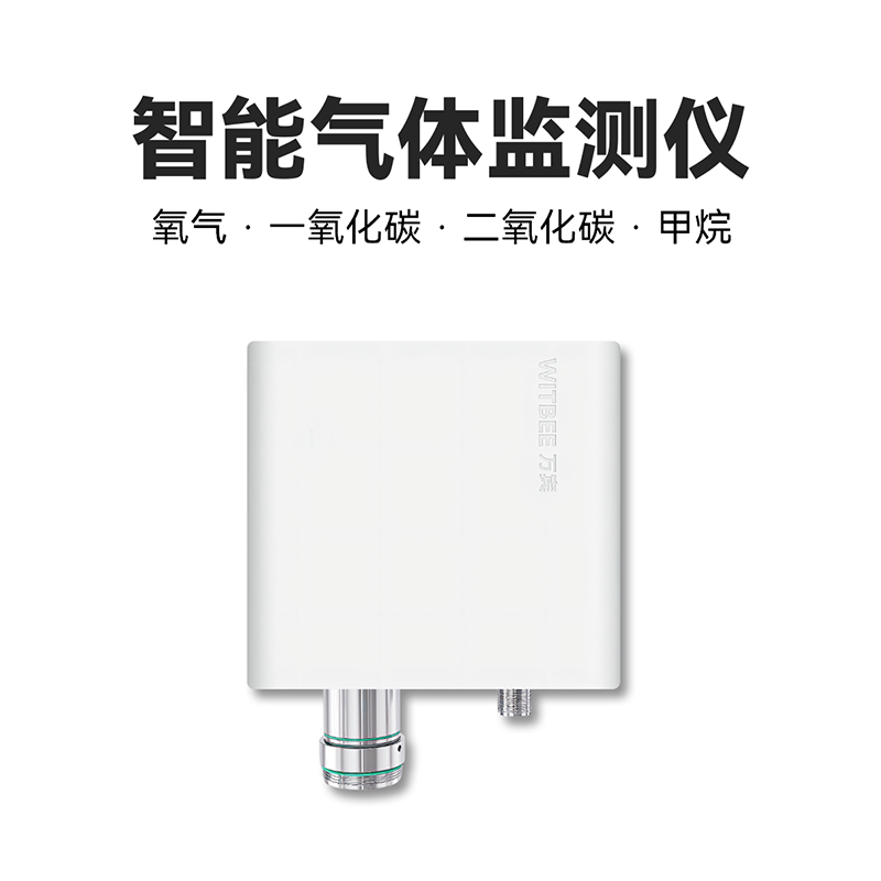 智能气体监测仪<br>EN401-MG