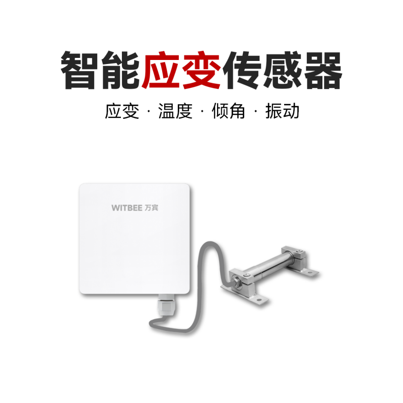 智能应变传感器<br>EN100-C-FS