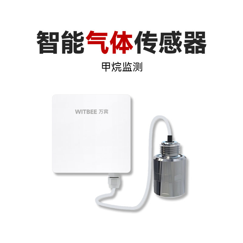 智能气体传感器<br>EN100-C-GE