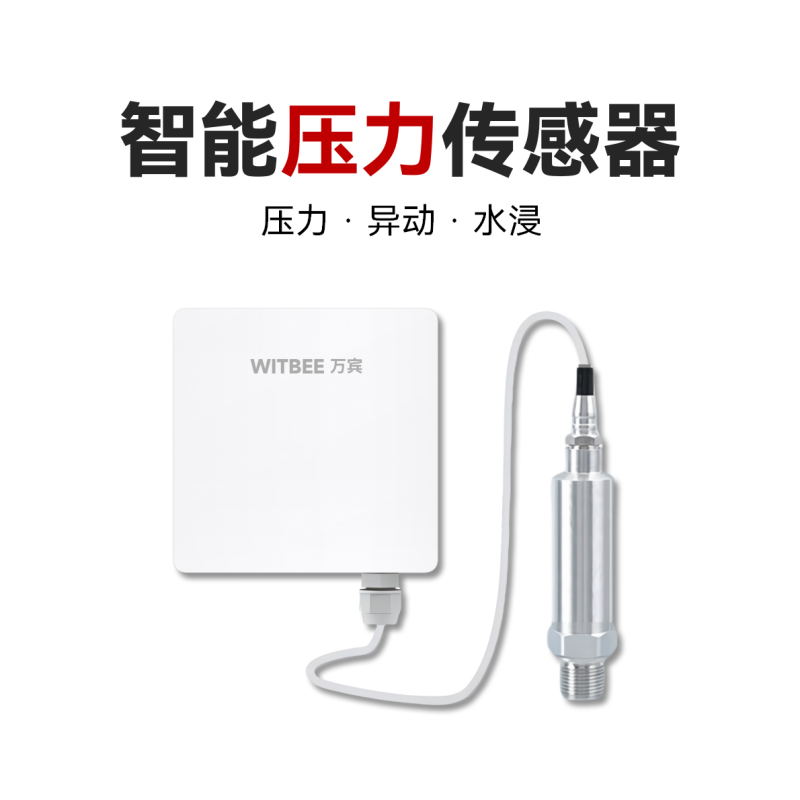 智能压力传感器<br>EN100-C-PS