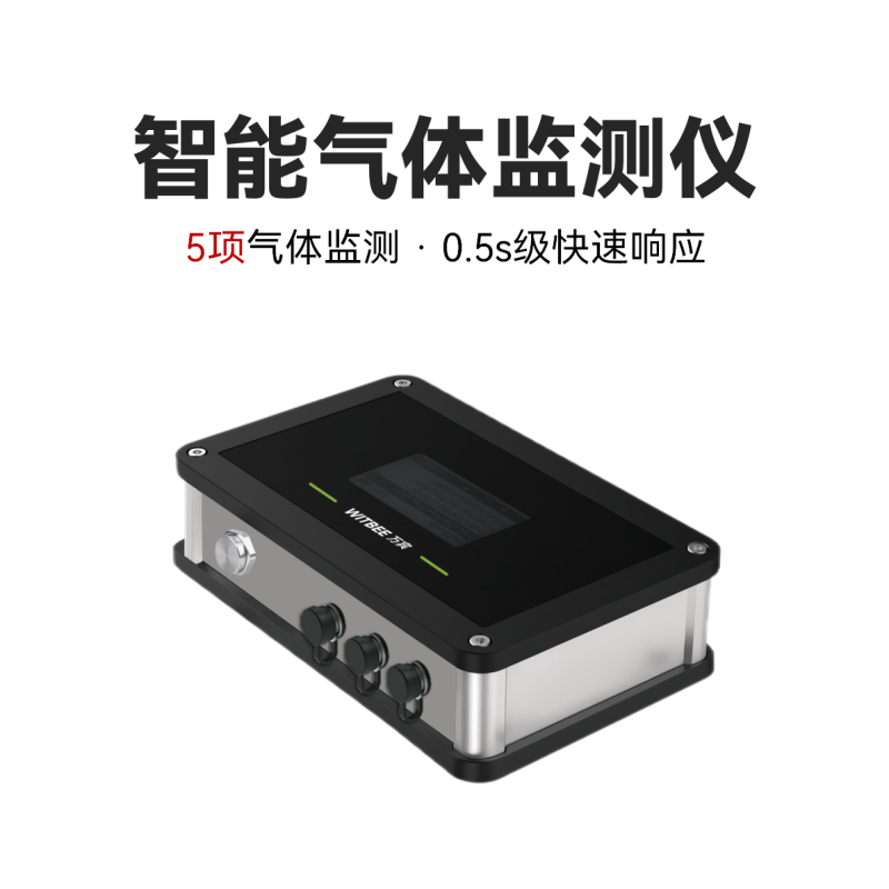 智能气体监测仪<br>EN501-MG