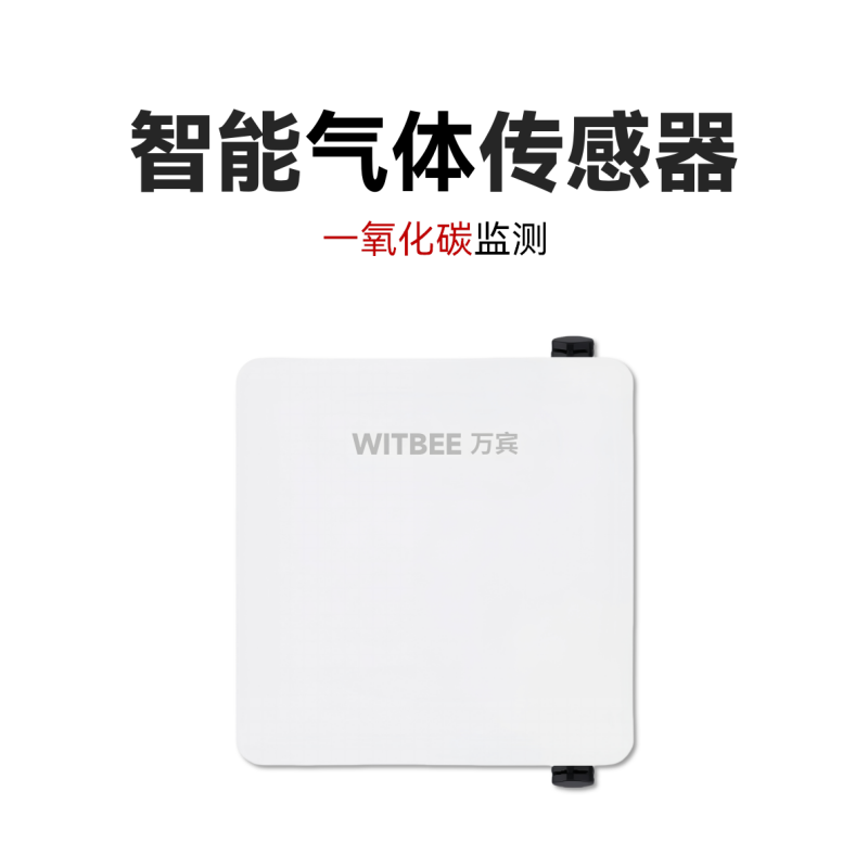 智能气体监测仪<br>EN100-C-G