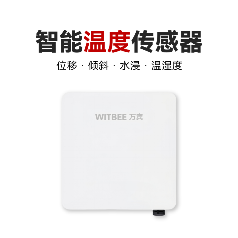 智能温度传感器<br>EN100-C-T