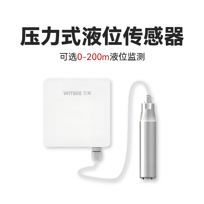 压力式液位计<br>EN100-C-AX