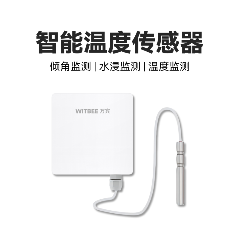 智能温度传感器<br>EN100-C-TX