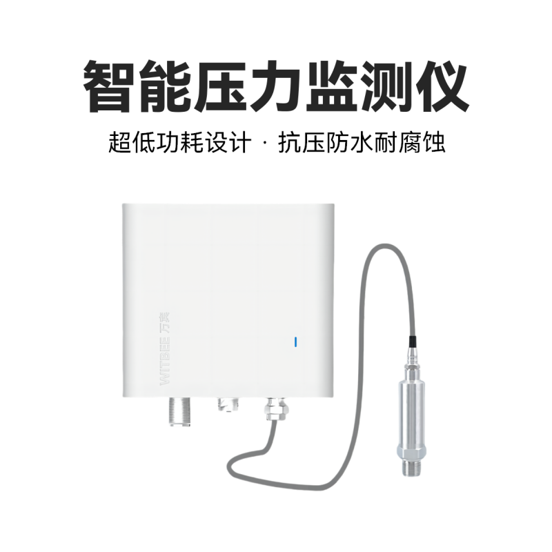 智能压力监测仪<br>EN401-PS