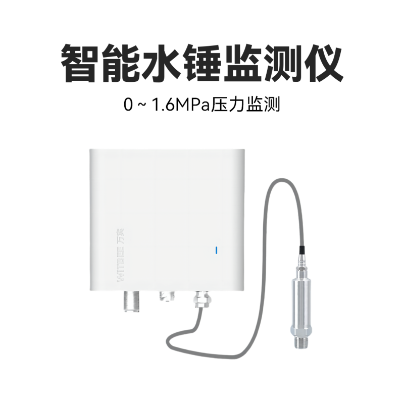 智能水锤监测仪<br>EN401-PWH