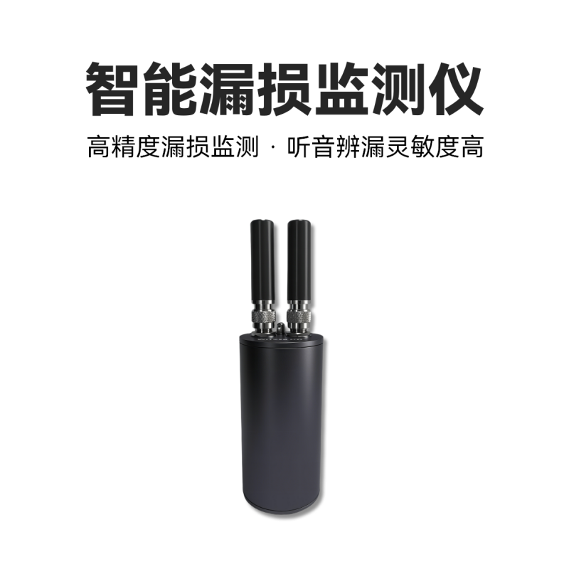 智能漏损监测仪<br>EN201-LK