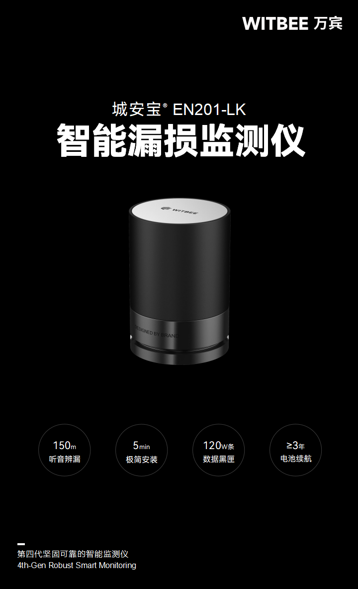 智能漏损监测仪 EN201-LK