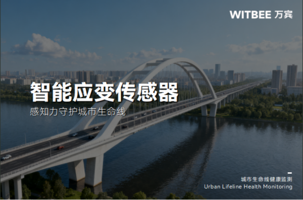 L2025091802让智能应变传感器成为“安全感知器”281.png