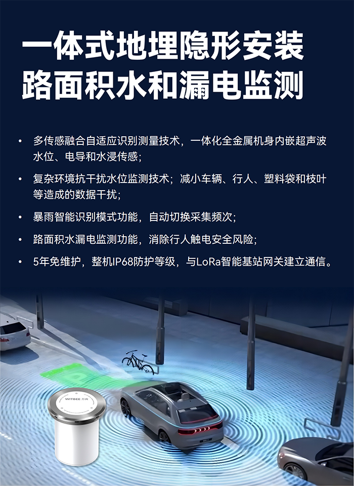 地埋式积水监测仪EN200-C