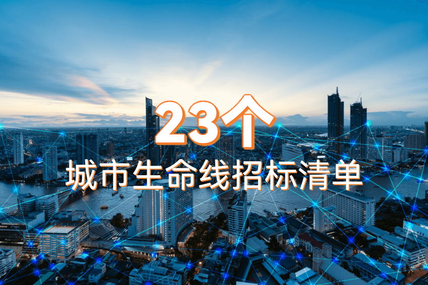 城市生命线招标清单