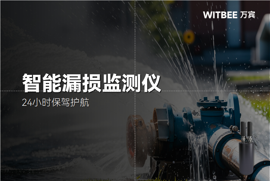 2026-01-15_143846 智能漏损监测仪